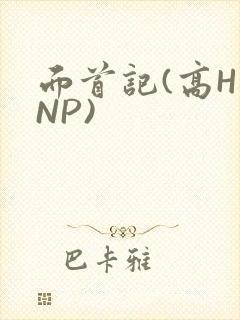 面首记(高H NP)