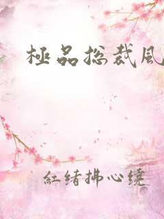 极品总裁风流录