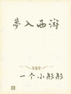 梦入西游