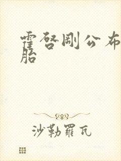 霍启刚公布龙凤胎