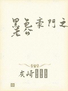 黑色豪门之王子老公