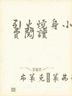 引火烧身小说免费阅读