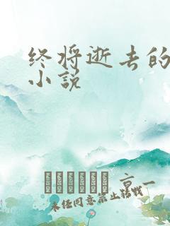 终将逝去的青春小说