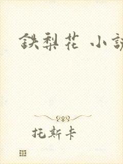铁梨花 小说