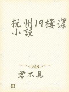 杭州19楼浓情小说