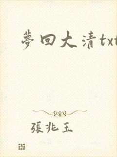梦回大清txt