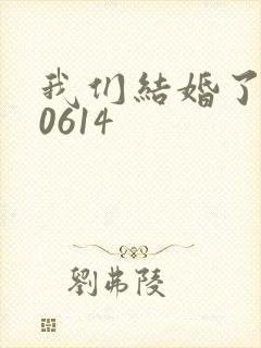 我们结婚了130614