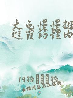 大龟慢慢挺进王进霞的体内