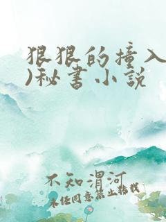 狠狠的撞入(h)秘书小说