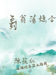 色翁荡熄合集系列