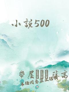小说500
