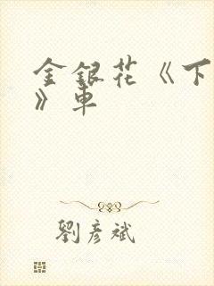 金银花《下厨房》车