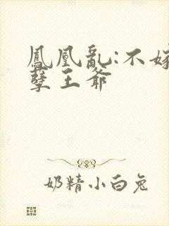 凤凰乱:不嫁妖孽王爷