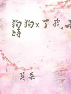 狗狗x了我两小时