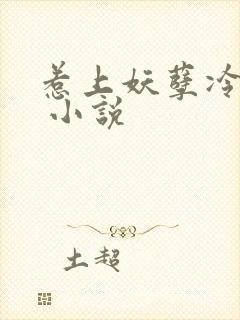 惹上妖孽冷殿下 小说