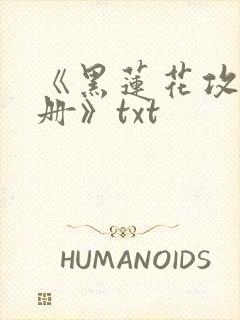 《黑莲花攻略手册》txt