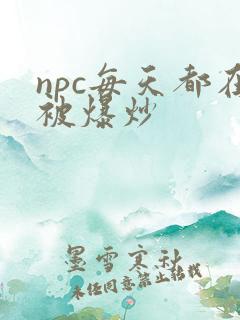 npc每天都在被爆炒