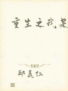 重生之我是段誉
