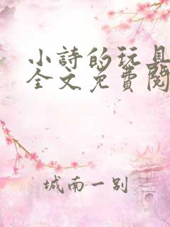 小诗的玩具日记全文免费阅读