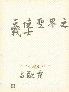 天使圣界之神之战士