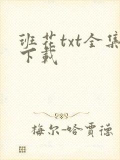 班花txt全集下载