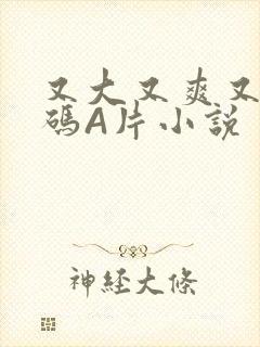 又大又爽又黄无码A片小说