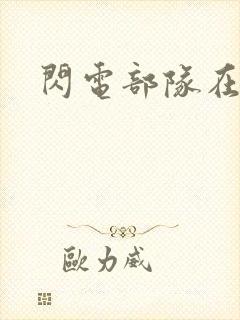 闪电部队在行动