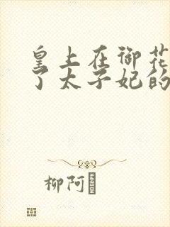 皇上在御花园c了太子妃的网剧