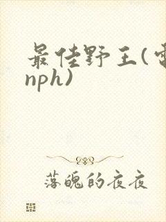 最佳野王(电竞nph)