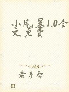 小风暴1.0全文免费