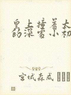 皇上撞着太子妃的深处小初