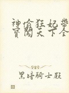 神偷狂妃带着宝宝闯天下全文免费阅读