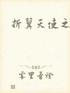 折翼天使之城