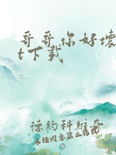 哥哥你好坏txt下载