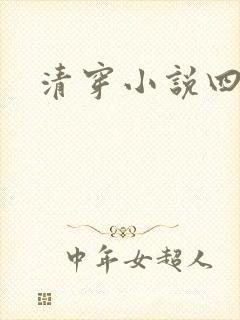 清穿小说四四