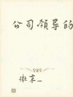 公司领导的老婆