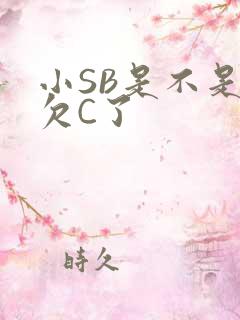 小SB是不是又欠C了