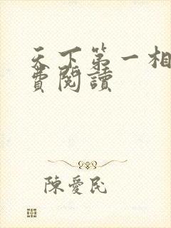 天下第一相书免费阅读