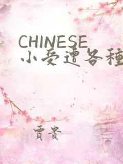 CHINESE小受遭各种打桩