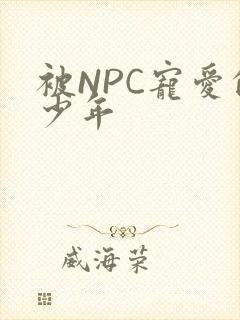 被NPC宠爱的少年