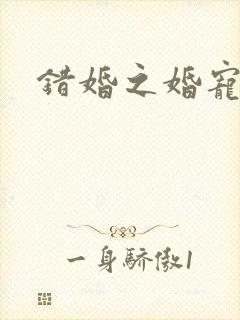 错婚之婚宠一世