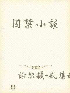 囚禁小说