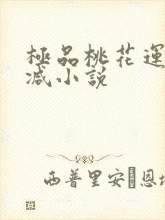 极品桃花运未删减小说