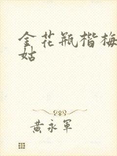 金花瓶楷梅花尼姑