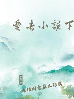 爱去小说下载网