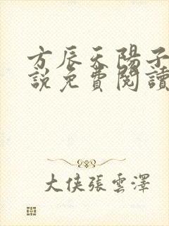 方辰天阳子的小说免费阅读