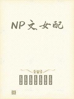 NP文女配