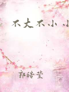 不大不小 小说