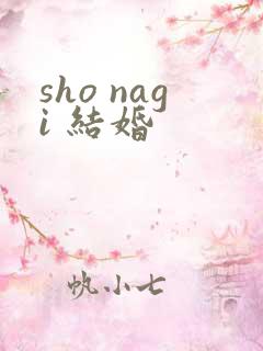 sho nagi 结婚