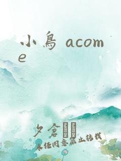 小鸟 acome